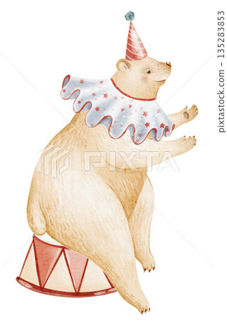 Circus animal character sits on podium. Watercolor illustration for children, childhood, nursery, poster, card, invitation. Cartoon bear isolated for design. Circus animal character sits on podium. Watercolor illustration for children, childhood, nursery, poster, card, invitation. Cartoon bear isolated for design. 135283853