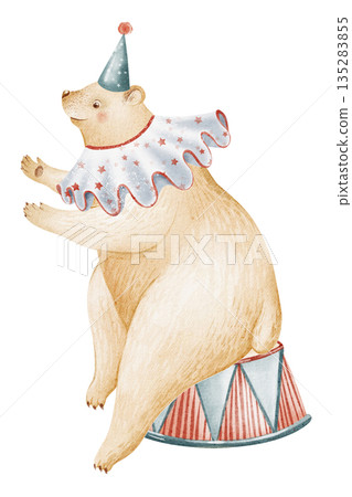Watercolor illustration of a circus bear sitting on a podium. Cartoon animal character isolated on white background. Suitable for children design, nursery art, posters, invitations, and cards. 135283855