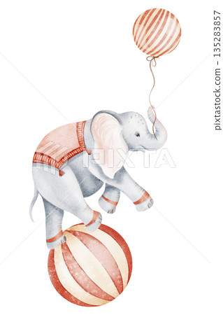 Watercolor illustration of a circus elephant balancing on a ball. Ideal for children's books, nursery decor, invitations, and birthday cards. Cute cartoon style. Watercolor illustration of a circus elephant balancing on a ball. Ideal for children's books, nursery decor, invitations, and birthday cards. Cute cartoon style. 135283857