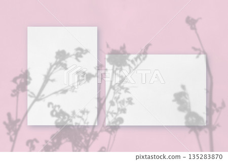 Natural lighting casts shadows from wildflowers on horizontal and vertical sheets of white textured paper against a pink wall background. Mockup Natural lighting casts shadows from wildflowers on horizontal and vertical sheets of white textured paper against a pink wall background. Mockup 135283870