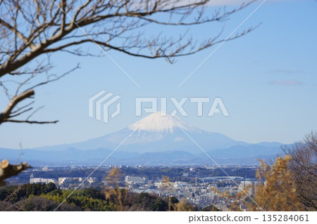 關東地區富士山百景：世上市民森林 135284061