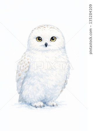 Watercolor style owl illustration material 135284109