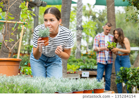 Young female customer near display case with helichrysum carefully selects pot with young seedlings. Young female customer near display case with helichrysum carefully selects pot with young seedlings. 135284154