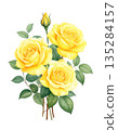 Yellow rose watercolor illustration 135284157