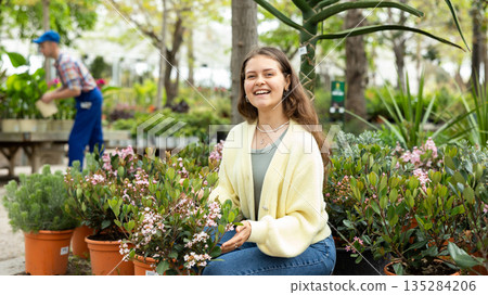 Girl choosing flowers of Rhaphiolepis indica Springtime at garden store 135284206