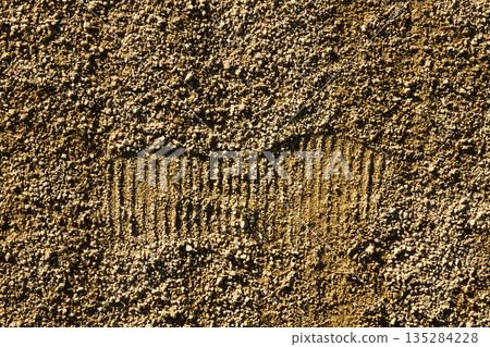 Footprints left in the soil 135284228