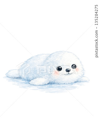 冬季動物海豹水彩插畫素材 135284275