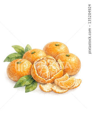 冬季水果柑橘水彩插圖 135284924