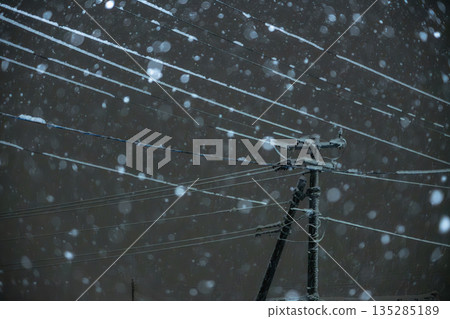 A winter night with heavy snow and snow on power lines 135285189