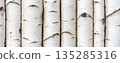 seamless birch wood pattern background banner 135285316