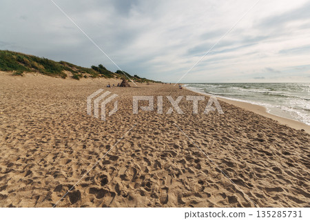 Zelenogradsk, Curonian Spit National Park. Sand dunes on the shore of the Baltic Sea 135285731