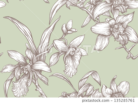 Vanilla orchid seamless coloring page. Vanilla orchid seamless coloring page. 135285761