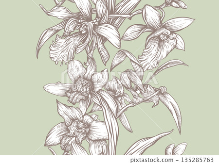 Vanilla orchid seamless coloring page. Vanilla orchid seamless coloring page. 135285763