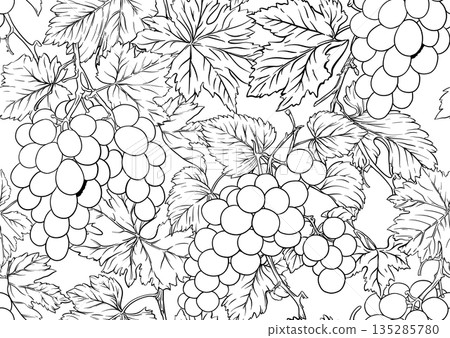 grape pattern outline grape pattern outline 135285780