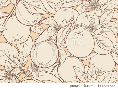 Oranges and citrus blossoms seamless Oranges and citrus blossoms seamless 135285782