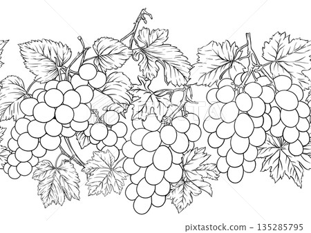 grape pattern outline grape pattern outline 135285795