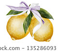 Lemons with ribbon bow watercolor. Hand drawn tropical sour fruit. Clip art of juicy yellow lime. Citrus on isolated white background. Ideal for logo and packaging of natural cosmetics, household 135286093