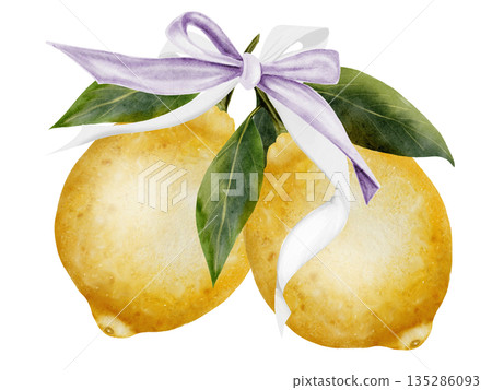 Lemons with ribbon bow watercolor. Hand drawn tropical sour fruit. Clip art of juicy yellow lime. Citrus on isolated white background. Ideal for logo and packaging of natural cosmetics, household Lemons with ribbon bow watercolor. Hand drawn tropical sour fruit. Clip art of juicy yellow lime. Citrus on isolated white background. Ideal for logo and packaging of natural cosmetics, household 135286093