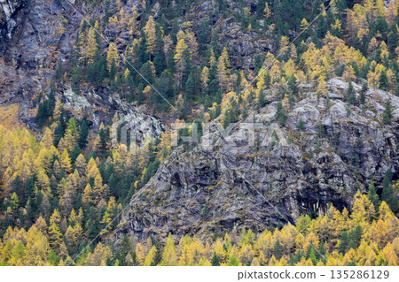 View of landscape furi mountain in autumn season from cable car in zermatt, swiss 135286129