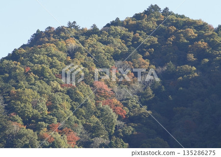 秋葉映照下的梶山 秋葉映照下的梶山 135286275