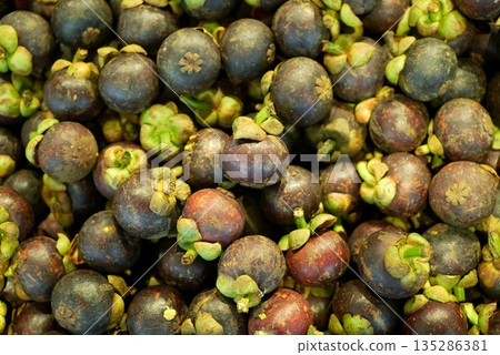 Purple ripe mangosteen Garcinia mangostana Buah Manggis from Thailand, fruit exotic tropical stall market. Malay Peninsula and Borne, Queen of fruits, detail close-up evergreen tree, edible tree Asia. 135286381