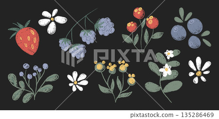 Crayon doodle flowers and berries set isolated Crayon doodle flowers and berries set isolated 135286469
