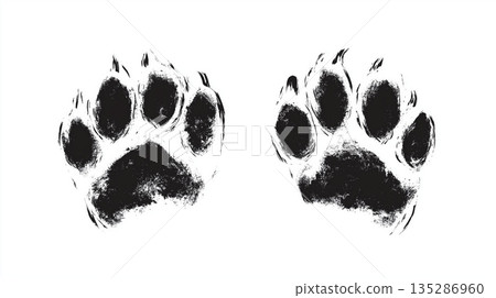 Unique black paw prints on a white surface captured with attention to detail and texture 135286960