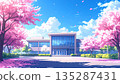 A school building and rows of cherry blossom trees in spring 135287431