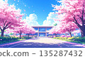 A school building and rows of cherry blossom trees in spring 135287432