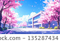 A school building and rows of cherry blossom trees in spring 135287434