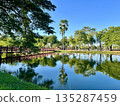 棕櫚樹倒映在水中，素可泰歷史公園也清晰可見。 135287459