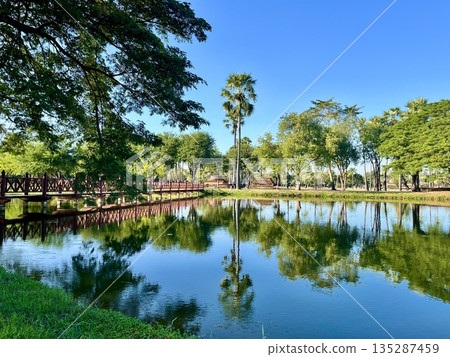 Palm trees reflected in the water and Sukhothai Historical Park Palm trees reflected in the water and Sukhothai Historical Park 135287459