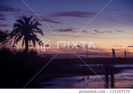 Silhouetted Pier at Sunset with Palm Tree and Figures Walking Across the Bridge 135287570