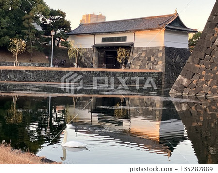 Swans reflected on the surface of the moat at Sakuradamon Gate Swans reflected on the surface of the moat at Sakuradamon Gate 135287889