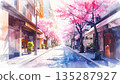 A Japanese shopping street with cherry blossoms in full bloom 135287927