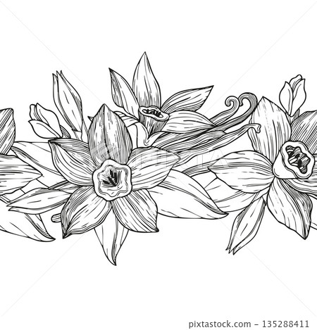 Hand-drawn seamless border made of blooming vanilla flowers and buns and vanilla pods, graphic botanical detailed sketch  135288411