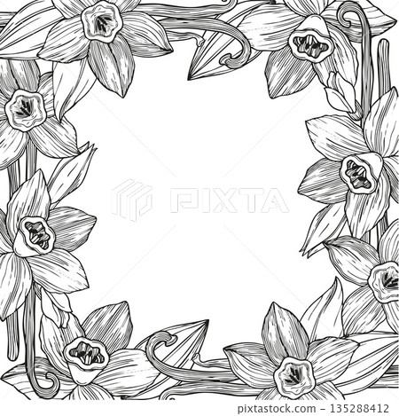 Hand-drawn blooming vanilla flowers and buns and vanilla pods frame square composition, graphic botanical detailed sketch Hand-drawn blooming vanilla flowers and buns and vanilla pods frame square composition, graphic botanical detailed sketch 135288412