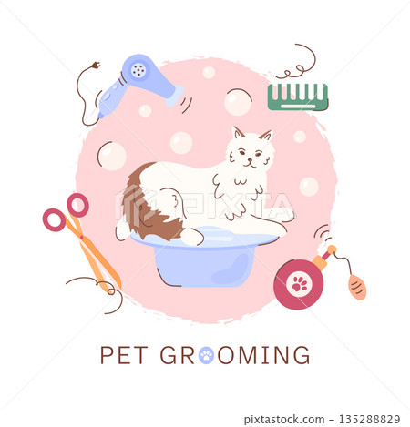 Pet care concept with a cute cartoon cat on a catwalk. Design for a cat grooming salon for haircuts, baths, hairstyles. Professional tools such as scissors, a hairdryer, a comb for a cat care banner. 135288829