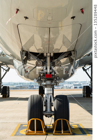 Front view of the nose landing gear and fuselage underbelly 135289448
