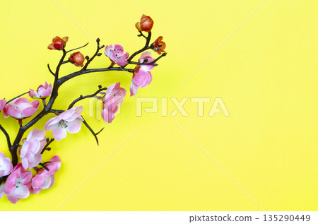 Plum blossom branch on yellow background representing renewal and Lunar New Year season. Plum blossom branch on yellow background representing renewal and Lunar New Year season. 135290449