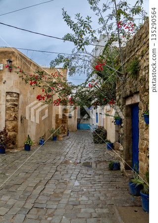 Narrow streets of medina, Bizerte, Tunisia Narrow streets of medina, Bizerte, Tunisia 135290564