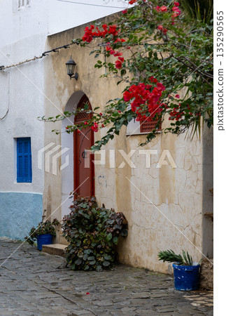 Narrow streets of medina, Bizerte, Tunisia 135290565