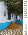 Narrow streets of medina, Bizerte, Tunisia 135290571