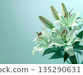 White lily background material in green tones (AI-generated image) 135290631