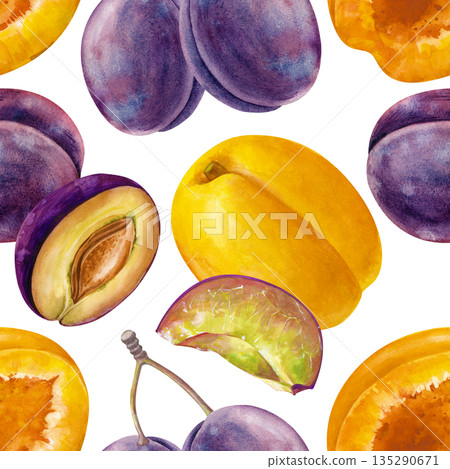 Seamless pattern of hand-painted apricots and plums on an isolated background. Watercolor illustration with realistic juicy fruits. A botanical template for packaging, wallpaper, tableware, and Seamless pattern of hand-painted apricots and plums on an isolated background. Watercolor illustration with realistic juicy fruits. A botanical template for packaging, wallpaper, tableware, and 135290671