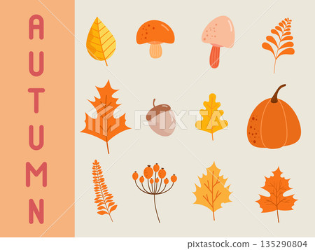 set of autumn element decoration for background wrapping, wallpaper, banner and more set of autumn element decoration for background wrapping, wallpaper, banner and more 135290804