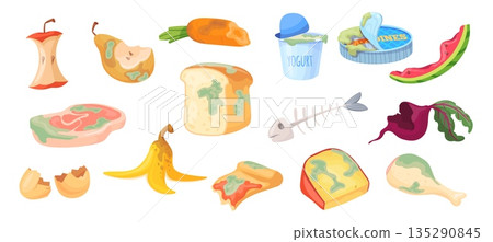 Food waste. Organic trash, rotten fruits vegetable leftover moldy products recycling garbage kitchen rubbish bread residue scrap fish bone dairy cartoon neat vector illustration 135290845