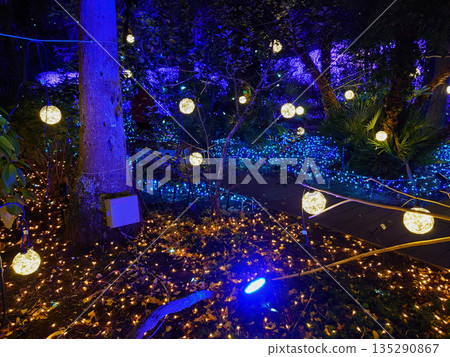 江之島的照明 江之島的照明 135290867