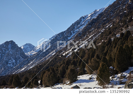 Snow covered mountainside with dense forest. Winter landscape 135290992