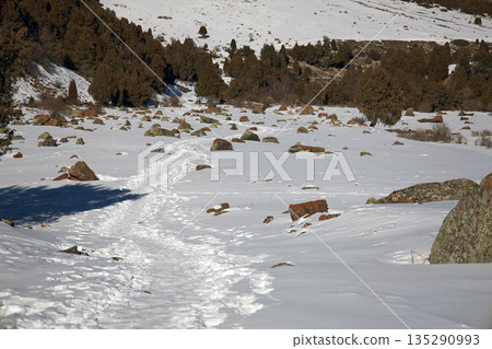 Footprints in snow leading through a rocky winter landscape with evergreen trees Footprints in snow leading through a rocky winter landscape with evergreen trees 135290993